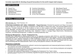 Best Sample Resume for It Professional 7 Samples Of Professional Resumes
