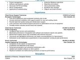 Best Sample Resume for It Professional Best Client Server Technician Resume Example From