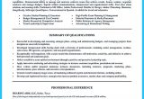 Best Sample Resume for It Professional Best It Director Professional Resume athletic Director