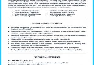 Best Sample Resume for It Professional Best It Director Professional Resume athletic Director