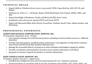 Best Sample Resume for It Professional It Professional Resume Samples top form Templates
