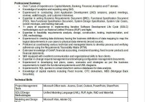 Best Senior Business Analyst Resume Sample Best Business Resume 30 Free Word Pdf Document