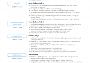 Best Senior Business Analyst Resume Sample Business Analyst Resume Samples and Templates