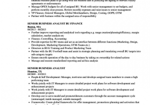 Best Senior Business Analyst Resume Sample Senior Business Analyst Resume Examples Best Resume Examples
