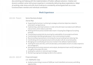 Best Senior Business Analyst Resume Sample Senior Business Analyst Resume Samples and Templates