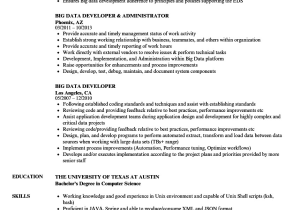 Big Data Hadoop Developer Resume Sample Big Data Developer Resume Samples