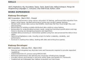 Big Data Hadoop Developer Resume Sample Hadoop Developer Resume Samples