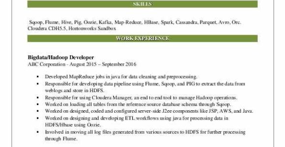 Big Data Hadoop Developer Resume Sample Hadoop Developer Resume Samples
