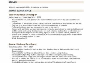 Big Data Hadoop Developer Resume Sample Senior Hadoop Developer Resume Samples