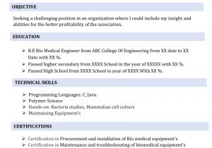 Biomedical Engineering Resume Samples for Freshers Fresher Biomedical Engineering Resume Template 4