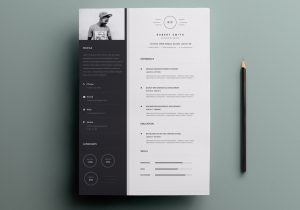 Black and White Resume Template Free Download Free Black and White Resume Template Free Psd Ui Download