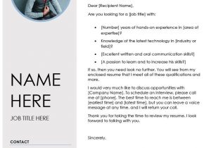 Blue Grey Resume Template Free Download Pin On Resume Template Download