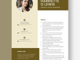 Broadcast General Sales Manager Resume Sample General Sales Manager Resume Template – Word, Apple Pages …