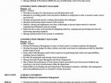 Building Material Sales Executive Resume Sample Construction Project Manager Resume Examples Unique