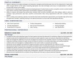 Building Material Sales Manager Resume Sample Sales Manager Resume Examples & Template (with Job Winning Tips)