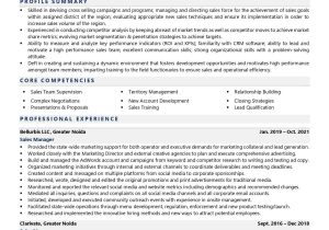 Building Material Sales Manager Resume Sample Sales Manager Resume Examples & Template (with Job Winning Tips)