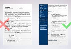 Bulk Mailings Task On Sample Resume Sales associate Resume [example   Job Description]