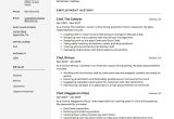 Burger King Head Chef Resume Sample Chef Resume & Writing Guide 12 Free Templates Pdf 2022