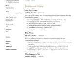 Burger King Head Chef Resume Sample Chef Resume & Writing Guide 12 Free Templates Pdf 2022