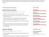 Busines System Analyst Resume Objective Samples Business Analyst Resume Example with Pre-written Content Sample …
