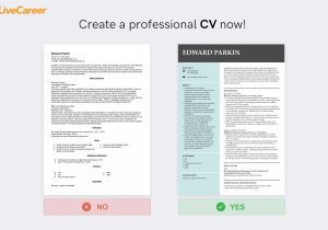 Business Analyst Access Management Sample Resume Business Analyst Cv Example that Will Land You A Ba Job