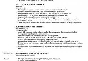 Business Analyst Capital Market Sample Resume Analyst Capital Markets Resume Samples