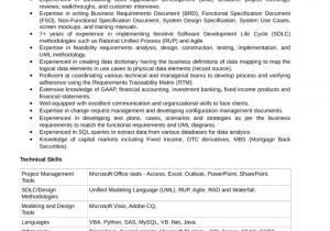 Business Analyst Capital Market Sample Resume Business Analyst Capital Markets Resume Business Analyst Capital Market Sample Resume Business Analyst Capital Markets Resume