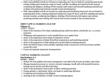 Business Analyst Capital Market Sample Resume Capital Markets Analyst Resume Samples