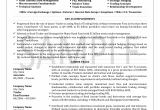 Business Analyst Capital Market Sample Resume Financial Capital Analyst Resume