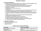 Business Analyst Cto Domain Resume Samples Business Analyst Resume Sample and Tips Business Analyst Resume …