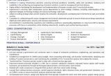 Business Analyst Cto Domain Resume Samples Cto Resume Examples & Template (with Job Winning Tips)