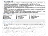 Business Analyst Cto Domain Resume Samples Cto Resume Examples & Template (with Job Winning Tips)