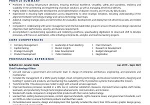 Business Analyst Cto Domain Resume Samples Cto Resume Examples & Template (with Job Winning Tips)