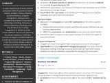 Business Analyst Cto Domain Resume Samples Free Senior Business Consultant Resume Sample 2020 by Hiration