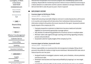 Business Analyst Health Insurance Sample Resume Insurance Agent Resume & Writing Guide  20 Templates