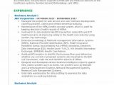 Business Analyst Insurance Domain Sample Resume Business Analyst Resume Samples