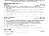 Business Analyst Insurance Domain Sample Resume Business Analyst Skills Resume fortable This Business