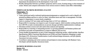 Business Analyst Payments Domain Sample Resume Investment Banking Domain Knowledge for Business Analyst