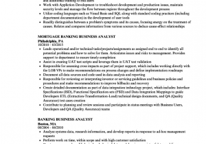 Business Analyst Payments Domain Sample Resume Investment Banking Domain Knowledge for Business Analyst