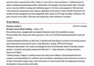 Business Analyst Payments Domain Sample Resume Payment Analyst Resume Example Mai Media Audits