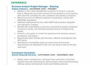 Business Analyst Project Manager Resume Sample Business Analyst Project Manager Resume Samples