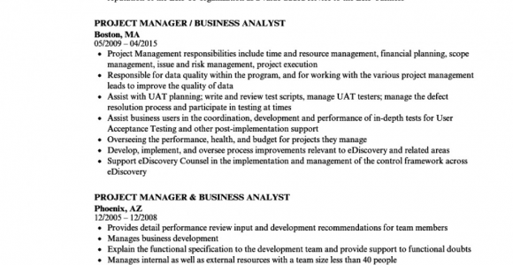 Business Analyst Project Manager Resume Sample Free Business Analyst Project Manager Resume Sample