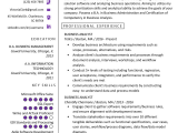 Business Analyst Resume Sample Doc India Business Analyst Resume Example & Writing Guide