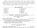 Business Analyst Resume Sample Doc India Business Analyst Resume Sample India Bank Of Resume