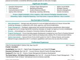 Business Analyst Resume Sample Doc India Business Analyst Resume Sample India Restaurant Market