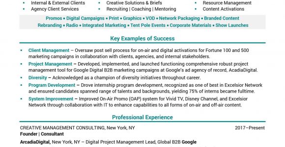 Business Analyst Resume Sample Doc India Business Analyst Resume Sample India Restaurant Market