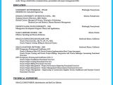 Business Analyst Resume Sample Doc India Create Your astonishing Business Analyst Resume and Gain