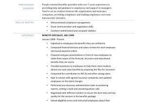 Business Analyst Resume Sample Velvet Jobs Job Description Resume Samples