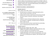 Business Analyst Resume Samples for Experienced Business Analyst Resume Example & Writing Guide