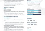 Business Analyst Sales force Sample Resume Salesforce Business Analyst Resume Guide Examples & Tips …